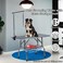 Pet grooming table with Heavy Duty, Adjustable height, and Lifting rope, Adjustable grooming table with Mesh tray, Anti-slip Countertop, and Rubber foot cover, Home or Pet Beauty salon 184 cm (Black)