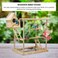 Bird play stand, Multi-level bird perch with Bird nest, Climbing ladders, Swinging perch, Colorful toys, feeding bowls, and Removable tray, Wooden bird stand for small to medium birds 63 cm (Beige)