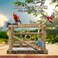 Bird playground with Feeding cups, Cockatiels, Parrots, and Lovebirds, Bird activity center with Swings, Climbing ladders, and 100% Natural wood, Idea for Small to Medium birds 36 cm (Beige)