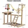 Bird play stand, Interactive training perch for birds, Wooden bird parrot stand with Perches, Stainless steel bowls, Colorful toys, Climbing ladder, Removable tray, and Non-slip pad 43 cm (Beige)