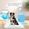 Pee pads for Dog, Absorbent Pet training pad, 60x60 cm (L) Disposable pad with 5-layer thickness, Soft &amp; Comfortable, Quick dry pad for Small to Large pets, Portable pads, 40 Pieces of 1 pack (Blue)