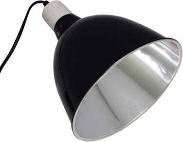 Komodo Deep Reflector Dome
