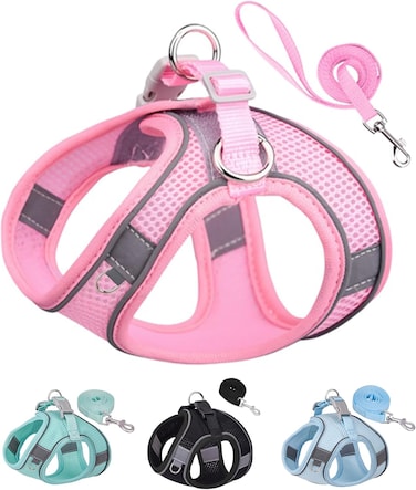 Harness with leash-D-PH005-L