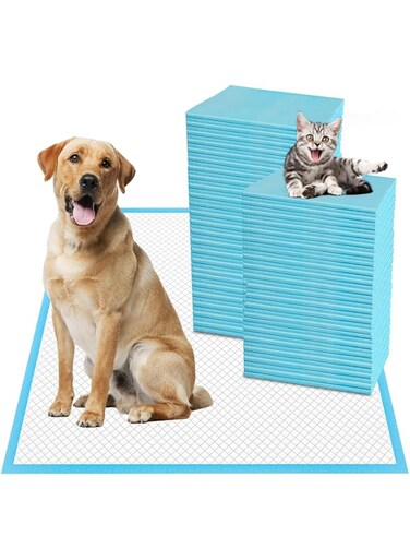 Coodipet Dog and Puppy Pee Pads 40-Count Disposable Pet Pad 24x24 inch Large Waterproof Pet Training Pad Dog Pee Pads Maximum Absorption and Protection(40 PACK-60 * 60CM)