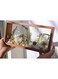 WANLIAN Rectangle Shadow Box Acrylic Wood Frame Display Storage Box, 10X5&quot;,Desktop Postcard Display Pressed Flowers Dried Leaf Display Table Decoration (Walnut Brown)