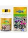 Hoodia Gordonii Capsules 500mg &ndash; Kalahari Desert Botanical Supplement for Healthy Lifestyle &amp; Daily Wellness, 60 Capsules.