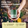 Herbamama Broccoli Sprouts Extract Capsules - Vegetable Supplement To Support Immune System, Brain &amp; Heart Function - Promotes Natural Cell Growth - Vegan, Non-GMO Formula - 1000Mg, 100 Caps
