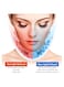 2 In1 Face Slimming Lifting Facial Beauty Massager Device V line Double Chin Remove Anti Wrinkle Vibration Massage Intelligent Voice for Lifting Firming Skin Care Facial Anti cellulite