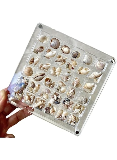 Acrylic Magnetic Seashell Display Box - Seashell Storage Box Display Case Decorative Seashell Starfish Trinket - Seashell Storage Box - Small Craft Organizers Container for Bead, Jewelry (36 Grids)