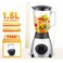 2 in 1 Professional Stainless Steel Super Power Blender, Ice Crusher Fruits Juicer Machine Electric Bean Blender Mixer, 2600W Silver