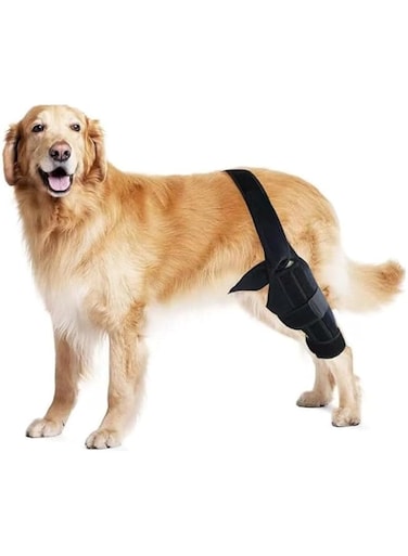 Dog Knee Brace for Dog ACL Brace Hind Leg or Rear Leg, CCL Brace Hind Leg (Black, S)