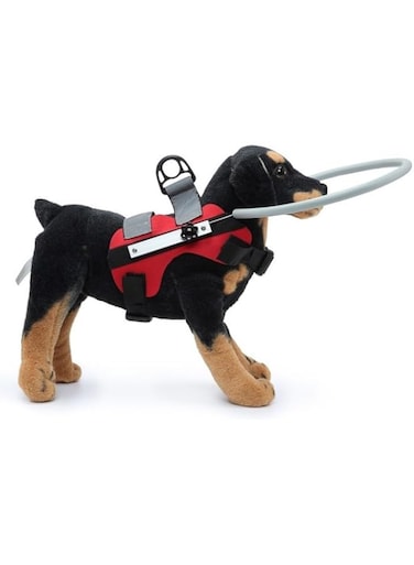 Blind Dog Halo Adjustable Blind Dog Chest Strap, Suitable for Blind Cats and Dogs with Blurred Vision and Sick Eyes, Device to Avoid Collisions and Build Confidence (Red, M)