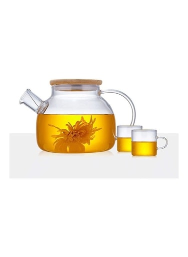 Heat Resistant Glass Teapot Set Clear 1000ml