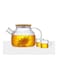 Heat Resistant Glass Teapot Set Clear 1000ml