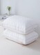 HOME 2 Piece Pillow Set
