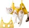 Moninsta Cat Grooming Hammock,Cat Grooming Supplies,Cat Hammock,Cat Grooming Harness,Pet Grooming Hammock,Grooming Table, Pet Grooming Helper Holder (S,Yellow)