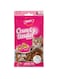 Gnawlers Crunchy &amp; Tender Cat Treats 65g - Salmon &amp; Milk Flavour