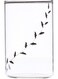 - Vision Black Krip Medium Glass, 295ml - Pack of 6 Clear