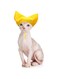 SEZDEKI Pet Shower Cap - Waterproof Shower Caps for Sphynx Reusable Cats Ear Protection Bath Cap with Adjustable Strap Ear Covers for House Cats Small Dogs Puppy Pet Grooming Accessories (Yellow)