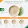 EcoEdge 10-Inch Round Areca Palm Leaf Plates (Pack of 10)  Non-Toxic, Naturally Sourced, Eco Friendly, Biodegradable, Compostable   Bamboo like Texture, Crafted Elegance, Durable   100% Plant Based