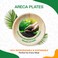 EcoEdge 7-Inch Round Areca Palm Leaf Plates (Pack of 10)  Environmentally safe, Chemical Free, Recyclable, Biodegradable, Disposable   Effortlessly Modern, Elegantly Sustainable   100% Plant Based