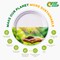 EcoEdge 6 Inch Round White Disposable Sugarcane Pulp Plates (Pack of 25) Natural Fiber Tableware, Sustainable, Biodegradable, Eco-Friendly, No Toxins, Durable, Heat Resistant. 100% Organic