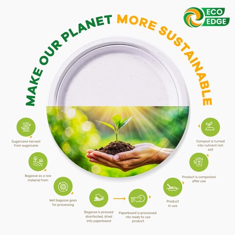 EcoEdge 6 Inch Round White Disposable Sugarcane Pulp Plates (Pack of 25) Natural Fiber Tableware, Sustainable, Biodegradable, Eco-Friendly, No Toxins, Durable, Heat Resistant. 100% Organic