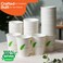 EcoEdge 5 Oz Disposable Heavy-Duty Party Paper Cups (Pack of 50) For Hot and Iced Beverages, Elegant, Stackable, Sustainable, Recyclable, Durable, Chemical and Plastic Free. 100% Eco-Friendly