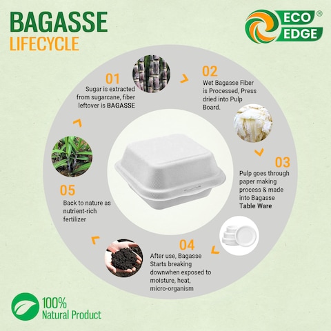 EcoEdge 6 Inch Square White Clamshell (Pack of 50) Disposable Take Out Food Containers Made from Sugarcane Pulp, Plant Based, Natural, Chemical Free For Everyday Use. 100% Biodegradable
