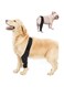 Dog Knee Brace for Dog ACL,CCL, Knee Cap Dislocation, Arthritis - Joint&amp;Knee Rehab - Extra Immobilized Support - Relieve Pain and Reduce Inflammation (Black, L)
