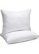 2-Piece Down Feather Alternative Double Piping Pillow 1300 Grams Cotton White 50 x 75cm