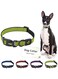 DOCO&reg; Martini Bean Collar (DCS008) Sizes - L, Color - Lemon