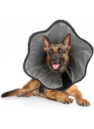 Dog Cone Collar for After Surgery, Soft Pet Recovery Collar for Dogs &amp; Cats, Comfort Cone Collar Protective Collar for Large Medium Small Dogs, with Interior Made of Comfortable Plush Material, Size:M