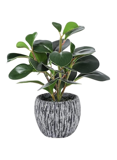 Angju Artificial Potted Plants, Real Looking Fiddle Leaf Fake Plant with Pot, Plastic Watercress Leaves Small Faux Trees with Cement Planter, Greenery Plant Table Decor for Home Indoor