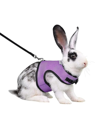 Niteangel Adjustable Soft Harness with Elastic Leash for Rabbits (M, Purple)