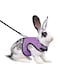 Niteangel Adjustable Soft Harness with Elastic Leash for Rabbits (M, Purple)