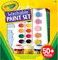 Crayola Washable Paint Kit