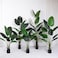 Fake Plant Tree Artificial Plant Faux Tree Banana Leaf Birds of Paradise Indoor Home Office Decoration(160cm)