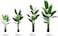 Fake Plant Tree Artificial Plant Faux Tree Banana Leaf Birds of Paradise Indoor Home Office Decoration(160cm)