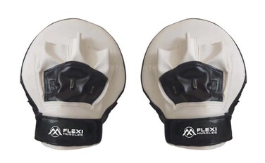 Boxing Focus Punching Mitts