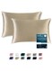 Satin Pillowcase for Hair and Skin, Super Soft and Cooling Similar to Silk Pillow Cases 2 Pack with Envelope Closure, Gift for Women Men(20"x26" Standard Size) (Champagne)