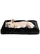 STAYOUNG Large Dog Bed - Plush Soft and Comfortable Pet Bed, with Non-Slip Bottom Washable Dog Mat, Suitable for Medium and Large Dogs, 65 x 93cm (Black)