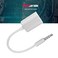 Ashata 3.5mm Male AUX Audio Plug, 3.5Mm Male Plug Jack To USB Female Aux Audio Cable Converter Adapter Cord, For CD Player, Computer, TV, Various Types Of Players, Mobile Phone, MP3, Etc