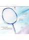 Whizz Badminton Racket ED02 2 Pcs Set &ndash; Protector Design, 3U (88g), Pre-Tensioned at 20lbs &ndash; Perfect for Beginners, Teenagers &amp; Family Fun, Black