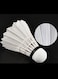 Whizz Badminton Shuttlecocks W-5 &ndash; Goose Feather Skirt with Taiwan Fiber Cork, 6 Pcs Tube &ndash; Durable &amp; Stable Flight for Competitive Play