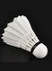 Whizz Badminton Shuttlecocks W-3 &ndash; Natural Feather Skirt with Taiwan Fiber Cork, 3 Pcs Tube &ndash; Super Stable Flight &amp; Excellent Feel