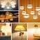 Fitto 12W LED Bulb &ndash; Energy-Saving, Bright Lighting, Eco-Friendly, Low Heat LED for Home, Office, and Commercial Use