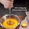 FITTO Stainless Steel Egg Whisk - 12-inch Hand Push Rotary Whisk Blender, Versatile Milk Frother, Efficient Hand Mixer Stirrer for Blending, Whisking, Beating, and Stirring
