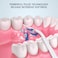 Fitto Water Flosser, USB Rechargeable Cordless Oral Irrigator, 3 Modes for Deep Cleaning, Portable Dental Care, Waterproof, for Travel &amp; Home Use