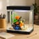 FITTO Aquarium - Black, 8 Litre Capacity, 24x17x28.5 cm, Full Set Table Top Fish Tank with Energy-Saving Colorful LED Light, Top Water Filter, Air Blower, and Feeding Hole &ndash; Perfect for Small Fishes